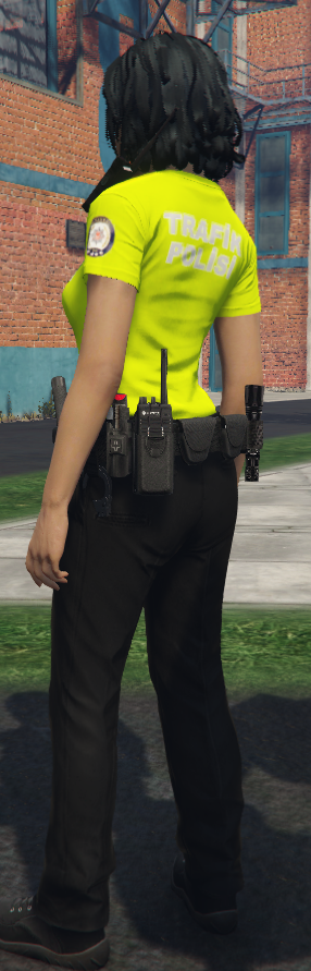 Türk Kamu ve Sivil Kıyafet Paketi - Resim 85